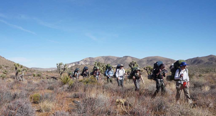 A group of backpackers hike in a single file in a desert landscape. There are mountains in the background. 